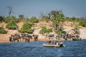 020 Botswana, Chobe NP, olifanten
